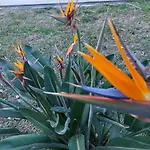 Διαμέρισμα Mediterranee Paradise *