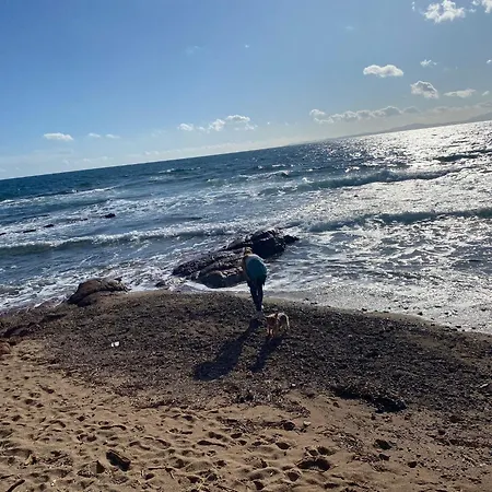 Mediterranee Paradise Διαμέρισμα *