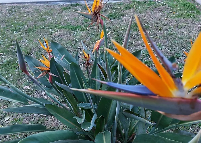 아파트 Mediterranee Paradise *