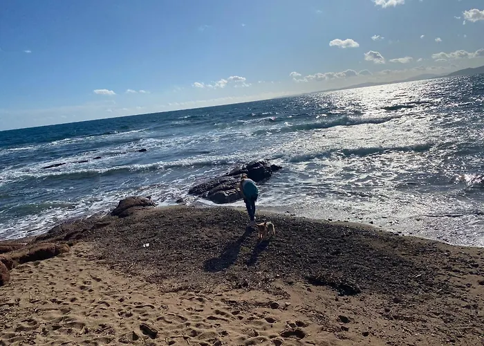 Mediterranee Paradise Apartmán *